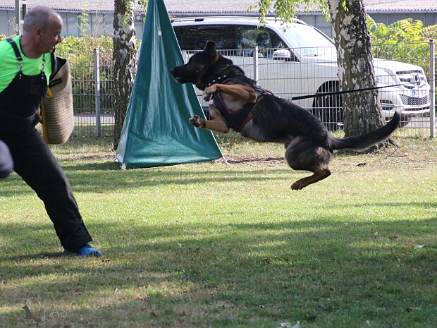 Trainingswochenende Oktober
