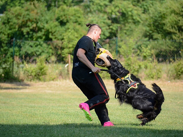 Trainingswochenende Juni