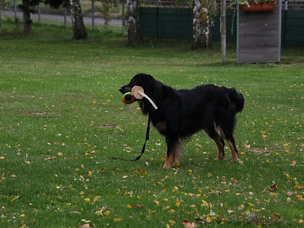 ABC Trainingswochenende Oktober 2024
