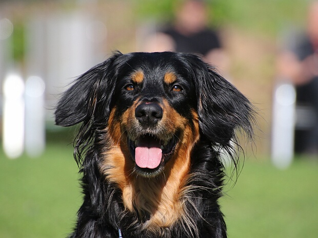 Trainingswochenende Mai 2024