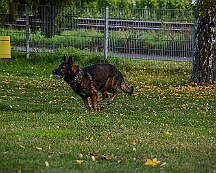 ABC_Trainingswochenende_Oktober_2025_DSC_7301-20251019