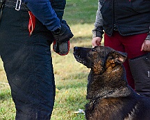 ABC_Trainingswochenende_Oktober_2025_DSC_7308-20251019