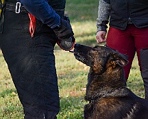 ABC_Trainingswochenende_Oktober_2025_DSC_7310-20251019