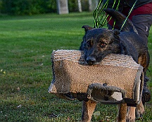 ABC_Trainingswochenende_Oktober_2025_DSC_7316-20251019