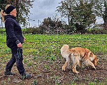 ABC_Trainingswochenende_Oktober_2025_Fährte Gruppe 2 (4)-20251019