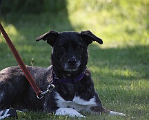 B_C_Trainingswochenende_Mai_2025_FD1A3111-20250501