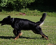 B_C_Trainingswochenende_Mai_2025_FD1A3116-20250501