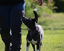 B_C_Trainingswochenende_Mai_2025_FD1A3130-20250501