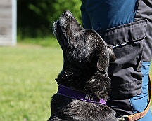 B_C_Trainingswochenende_Mai_2025_FD1A3135-20250501