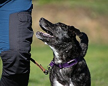 B_C_Trainingswochenende_Mai_2025_FD1A3139-20250501