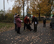 Herbstprüfung_November_2025_FD1A6053-20251108