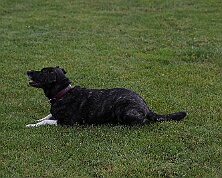 B_C_Trainingswochenende_Juni_2026_FD1A7740