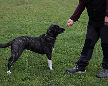 B_C_Trainingswochenende_Juni_2026_FD1A7750