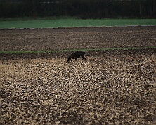 Fruehjahrspruefung_Maerz_2026_FD1A7371-20260314