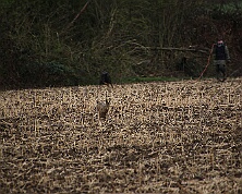 Fruehjahrspruefung_Maerz_2026_FD1A7375-20260314