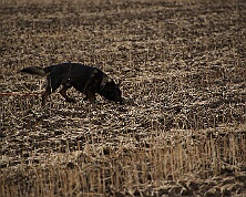 Fruehjahrspruefung_Maerz_2026_FD1A7381-20260314