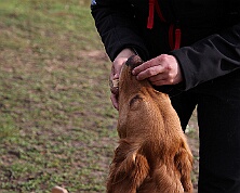 Workshop_Ollmann_Maerz_2026_FD1A6373-20260228