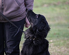 Workshop_Ollmann_Maerz_2026_FD1A6392-20260228